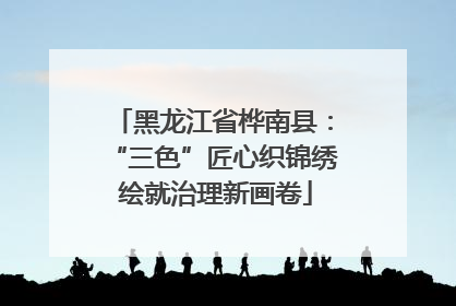 黑龙江省桦南县：“三色”匠心织锦绣 绘就治理新画卷
