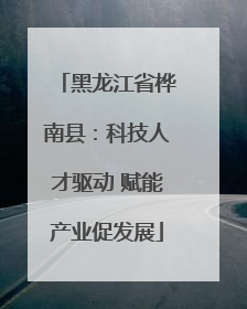 黑龙江省桦南县：科技人才驱动 赋能产业促发展