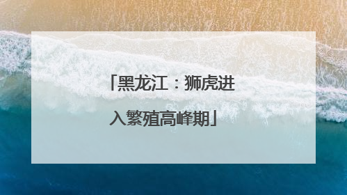 黑龙江：狮虎进入繁殖高峰期