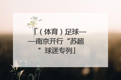 （体育）足球——南京开行“苏超”球迷专列