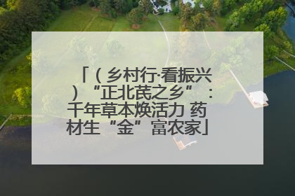 （乡村行·看振兴）“正北芪之乡”：千年草本焕活力 药材生“金”富农家