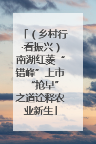 （乡村行·看振兴）南湖红菱“错峰”上市 “抢早”之道诠释农业新生