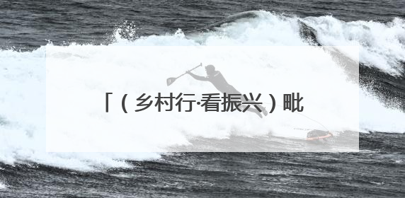 （乡村行·看振兴）毗邻统战破局“出圈” 浙沪乡村绘就共富新图景