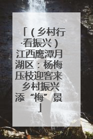 （乡村行·看振兴）江西鹰潭月湖区：杨梅压枝迎客来 乡村振兴添“梅”景