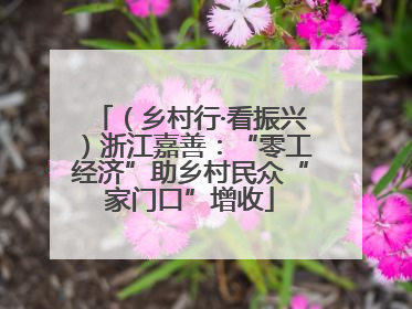 （乡村行·看振兴）浙江嘉善：“零工经济”助乡村民众“家门口”增收