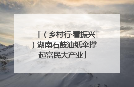 （乡村行·看振兴）湖南石鼓油纸伞撑起富民大产业