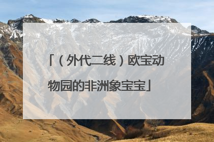 （外代二线）欧宝动物园的非洲象宝宝