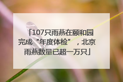 107只雨燕在颐和园完成“年度体检”，北京雨燕数量已超一万只
