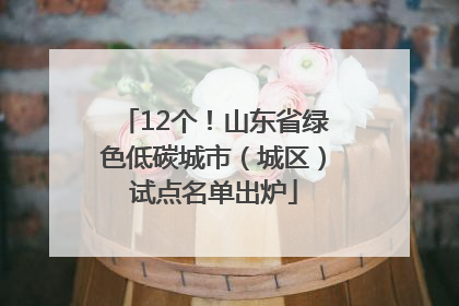 12个！山东省绿色低碳城市（城区）试点名单出炉