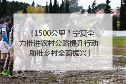 1500公里！宁夏全力推进农村公路提升行动 助推乡村全面振兴