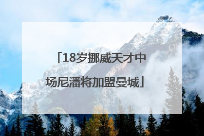 18岁挪威天才中场尼潘将加盟曼城