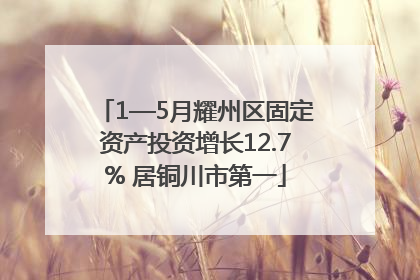 1—5月耀州区固定资产投资增长12.7% 居铜川市第一