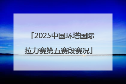 2025中国环塔国际拉力赛第五赛段赛况