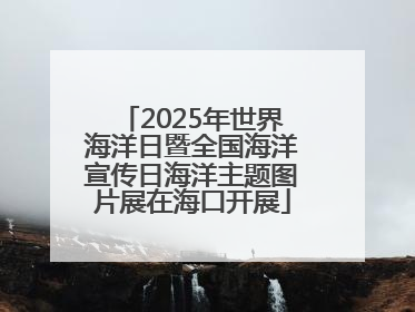 2025年世界海洋日暨全国海洋宣传日海洋主题图片展在海口开展
