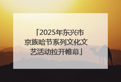 2025年东兴市京族哈节系列文化文艺活动拉开帷幕