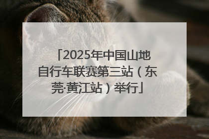 2025年中国山地自行车联赛第三站（东莞·黄江站）举行