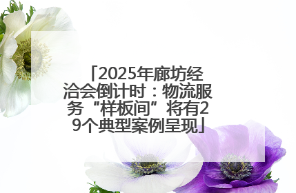 2025年廊坊经洽会倒计时：物流服务“样板间”将有29个典型案例呈现