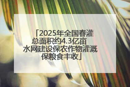 2025年全国春灌总面积约4.3亿亩 水网建设保农作物灌溉 保粮食丰收