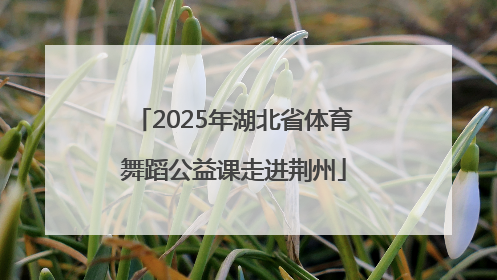 2025年湖北省体育舞蹈公益课走进荆州