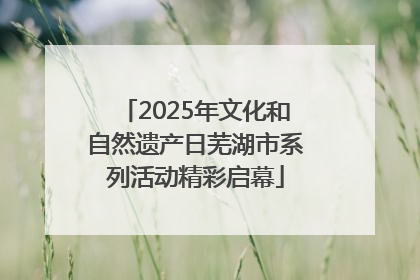 2025年文化和自然遗产日芜湖市系列活动精彩启幕