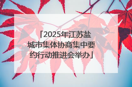 2025年江苏盐城市集体协商集中要约行动推进会举办
