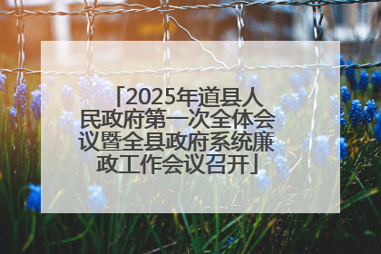 2025年道县人民政府第一次全体会议暨全县政府系统廉政工作会议召开