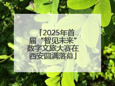 2025年首届“智见未来”数字文旅大赛在西安圆满落幕
