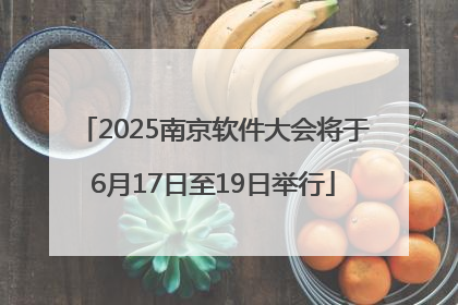 2025南京软件大会将于6月17日至19日举行