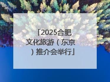 2025合肥文化旅游（东京）推介会举行