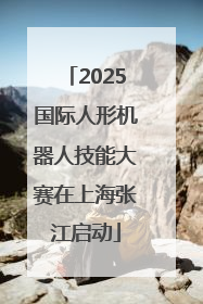 2025国际人形机器人技能大赛在上海张江启动