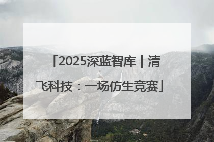 2025深蓝智库｜清飞科技：一场仿生竞赛