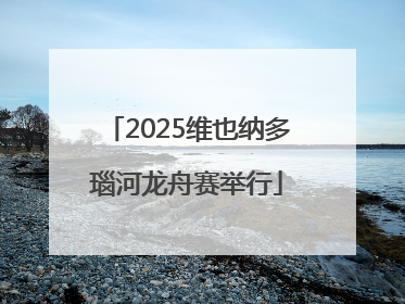 2025维也纳多瑙河龙舟赛举行