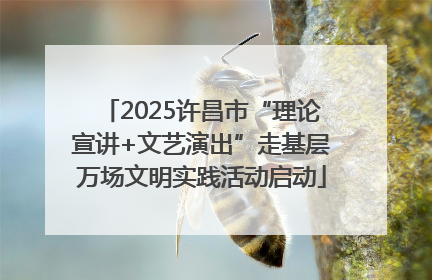 2025许昌市“理论宣讲+文艺演出”走基层万场文明实践活动启动