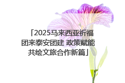 2025马来西亚祈福团来泰安团建 政策赋能共绘文旅合作新篇