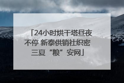 24小时烘干塔昼夜不停 新泰供销社织密三夏“粮”安网