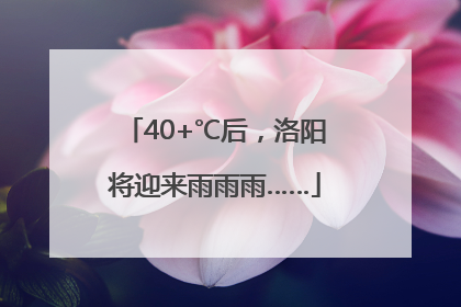40+℃后，洛阳将迎来雨雨雨……