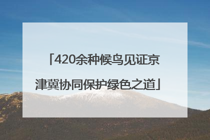 420余种候鸟见证京津冀协同保护绿色之道
