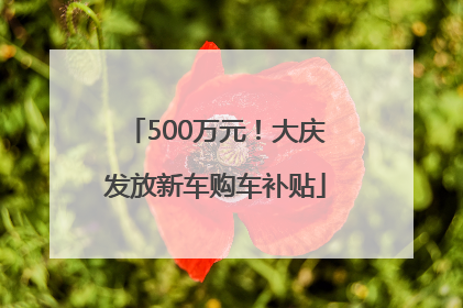 500万元！大庆发放新车购车补贴