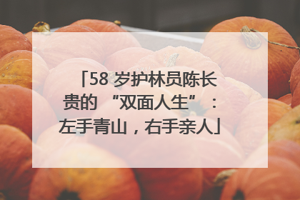 58 岁护林员陈长贵的 “双面人生”：左手青山，右手亲人