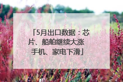 5月出口数据：芯片、船舶继续大涨 手机、家电下滑