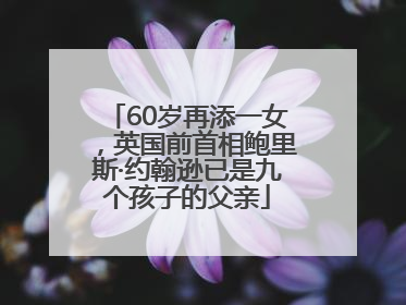 60岁再添一女，英国前首相鲍里斯·约翰逊已是九个孩子的父亲