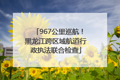 967公里巡航！黑龙江跨区域航道行政执法联合检查