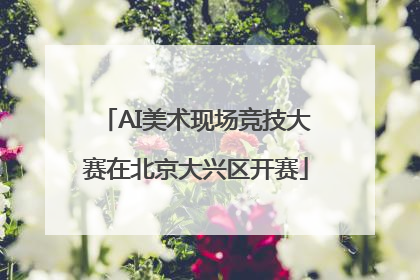 AI美术现场竞技大赛在北京大兴区开赛
