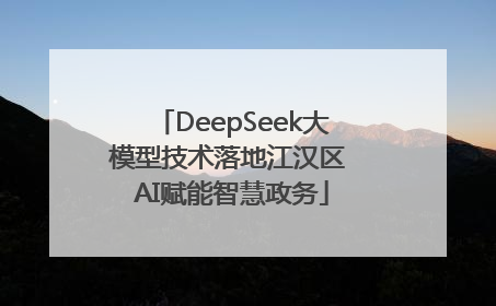 DeepSeek大模型技术落地江汉区 AI赋能智慧政务