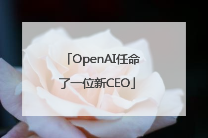 OpenAI任命了一位新CEO