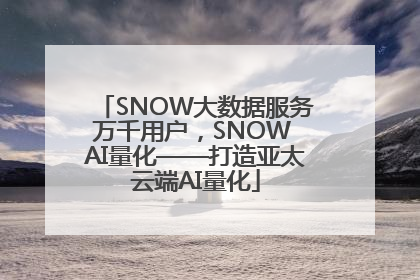 SNOW大数据服务万千用户，SNOW AI量化——打造亚太云端AI量化